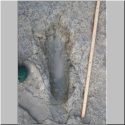 102_7536 (2013-08-19)m.JPG